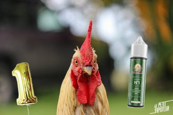 sondage-e-liquide-blog-le-petit-vapoteur (2)